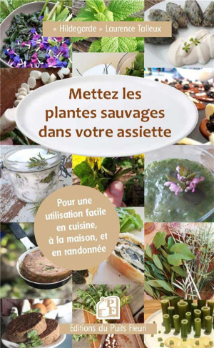 Mettez les plantes sauvages dans votre assiette. Pour une utilisation facile en cuisine, à la maison