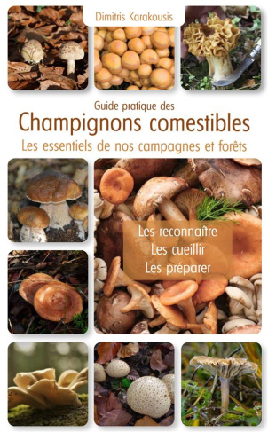 Guide pratique des champignons comestibles