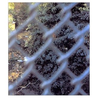 CATALOGUE ANTHONY HERNANDEZ