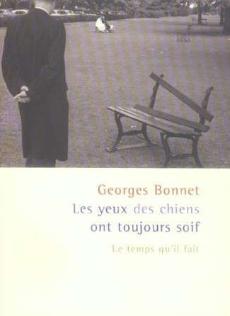 Les yeux des chiens ont toujours soif