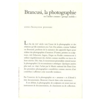 BRANCUSI, LA PHOTOGRAPHIE OU L'ATELIER COMME " GROUPE MOBILE "