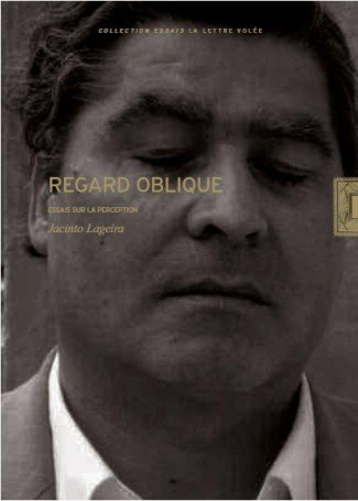 Regard oblique. Essais sur la perception