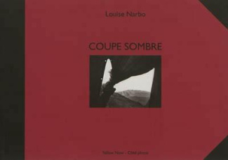Coupe sombre. Un journal traversé