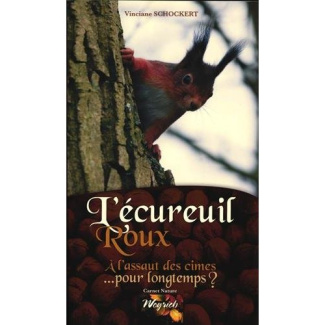 L'écureuil roux. A l'assaut des cimes... pour longtemps ?