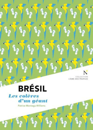 Brésil. Les colères d'un géant