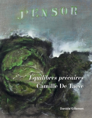 Camille De Taeye. Equilibres précaires