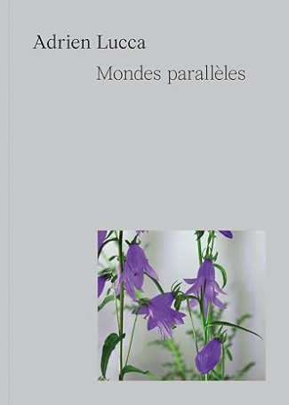 Mondes parallèles. Mondes parallèles