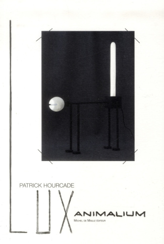 Lux animalium. La lumière qui vient des animaux