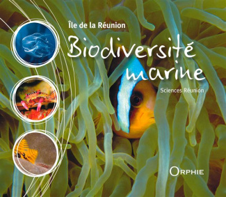Biodiversité marine. Ile de la Réunion