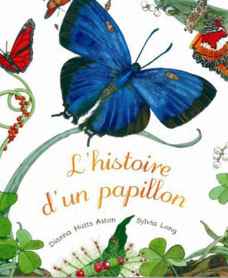 L'histoire d'un papillon