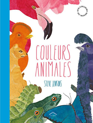Couleurs animales