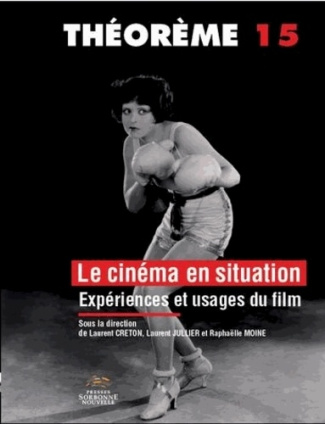 Le cinéma en situation. Expériences et usages du film