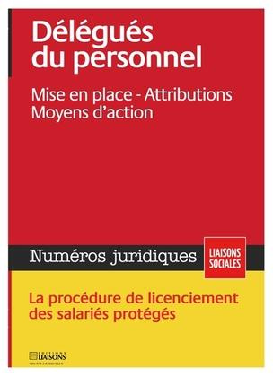 Délégués du personnel. Mise en place - Attributions - Moyens d'action.