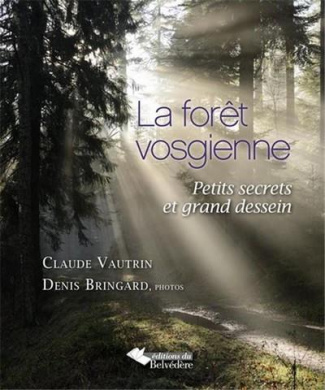 La forêt vosgienne. Petits secrets et grand dessein