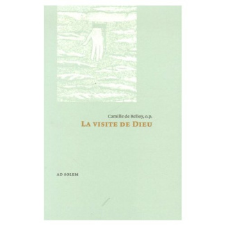 La visite de Dieu. Essai sur les missions des personnes divines selon saint Thomas d'Aquin