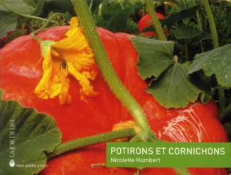 Potirons et cornichons