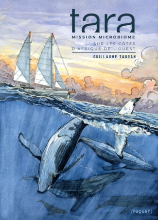 Tara : Mission microbiome. Sur les côtes d'Afrique de l'Ouest