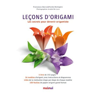 Leçons d'origami. Les secrets pour devenir origamiste
