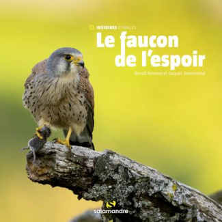 Le faucon de l'espoir
