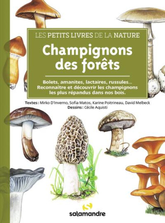 Champignons des forêts