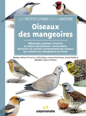 Oiseaux des mangeoires