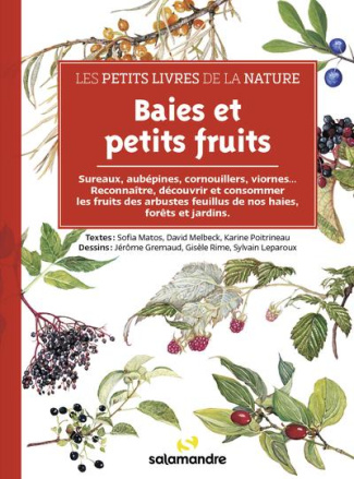 Baies et petits fruits