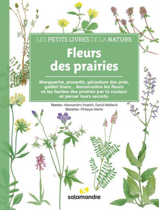 Fleurs des prairies