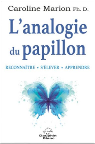 L'analogie du papillon. Reconnaître, s'élever, apprendre