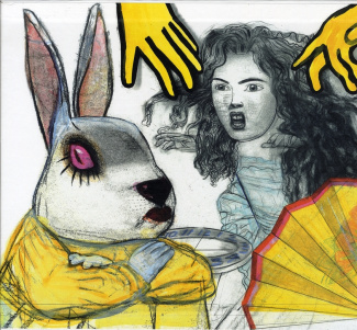 Alice au pays des merveilles ; De l'autre côté du miroir. 2 volumes