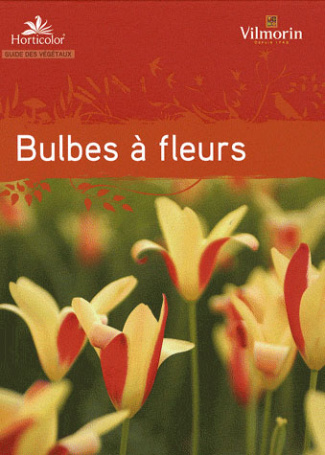 Guide des bulbes à fleurs