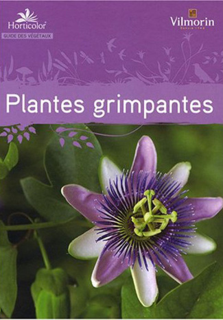 Guide des plantes grimpantes