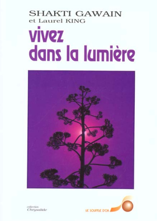 VIVEZ DANS LA LUMIERE. Guide de transformation personnelle et planétaire