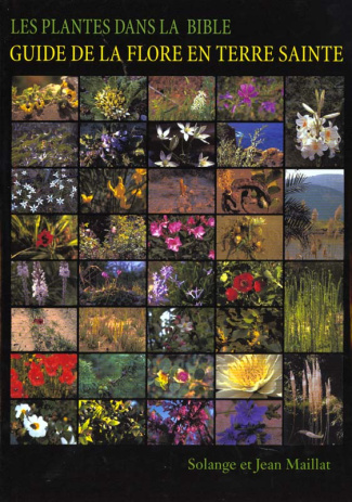 Les plantes dans la Bible