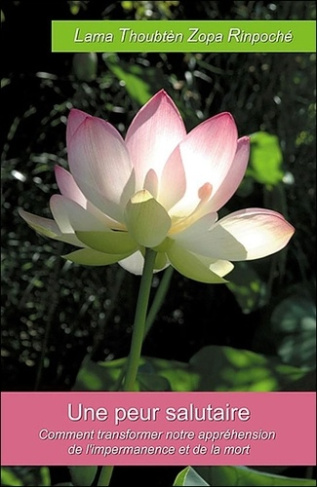Une peur salutaire / Comment transformer notre appréhension face à l'impermanence et la mort