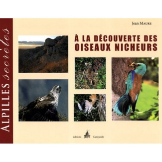 Alpilles secrètes : à la découverte des oiseaux nicheurs