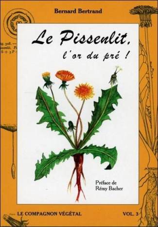 Le pissenlit. L'or du pré !