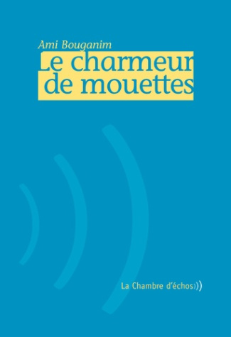 Le charmeur de mouettes