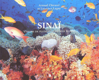 Sinaï. Visions de plongeurs en mer Rouge