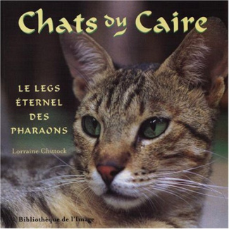 CHATS DU CAIRE - LEGS ETERNEL DES PHARAONS