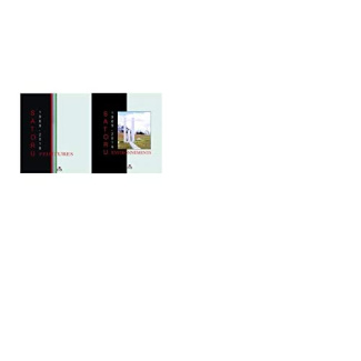 Satoru, peintures-environnements. 2 volumes