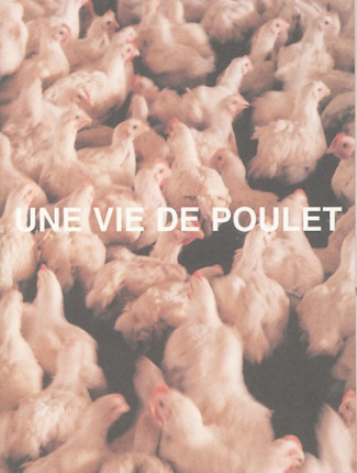 Une vie de poulet
