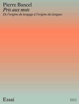 Pris aux mots. De l'origine du langage à l'origine des langues