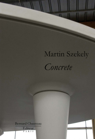 Martin Szekely. Concrete. Avec sérigraphie, Edition limitée