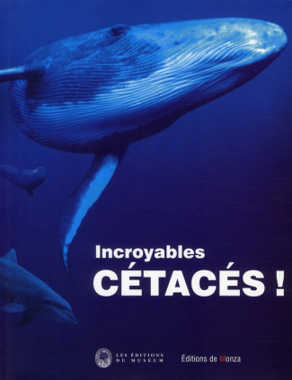 Incroyables cétacés !