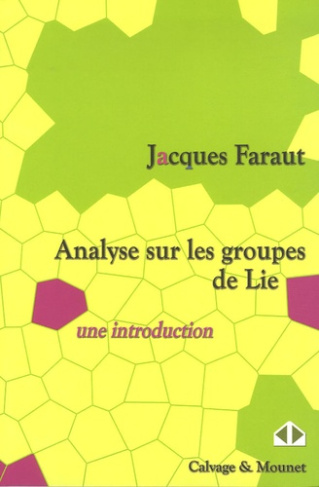 Analyse sur les groupes de Lie. Une introduction