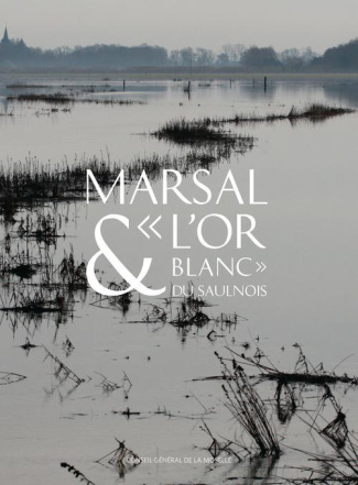 Marsal & "l'or blanc" du Saulnois. Le musée départemental du sel de Marsal