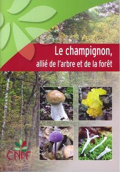 Le champignon, allié de l'arbre et de la forêt