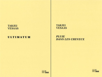 Ultimatum ; Pluie dans les cheveux