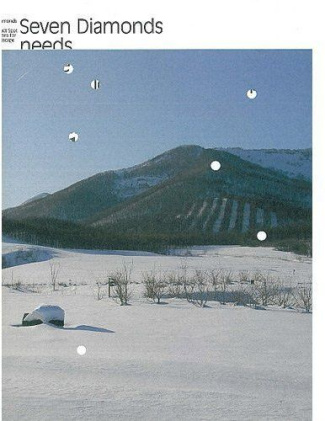 Seven Diamonds needs in the Exact Spot Propositions for a Landscape