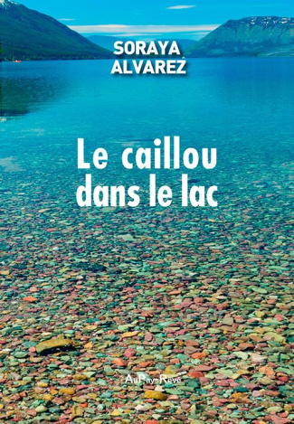 Le caillou dans le lac